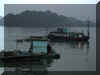 Bay19_WEB.jpg (79352 bytes)