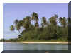 Islandpalms_WEB.jpg (88753 bytes)