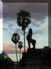 Lionsunset_WEB.jpg (55944 bytes)