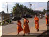 Monks_WEB.jpg (88523 bytes)